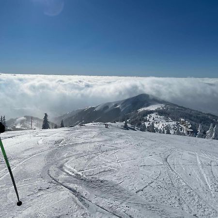 Kopaonik -Beautiful View Apartment- Skiing Экстерьер фото