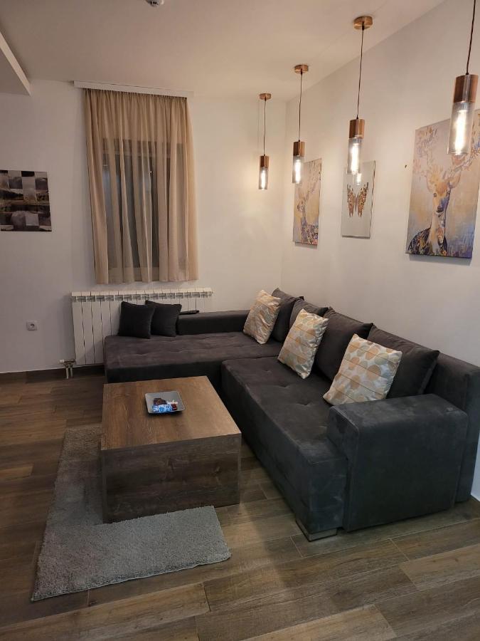 Kopaonik -Beautiful View Apartment- Skiing Экстерьер фото