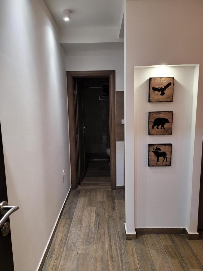 Kopaonik -Beautiful View Apartment- Skiing Экстерьер фото