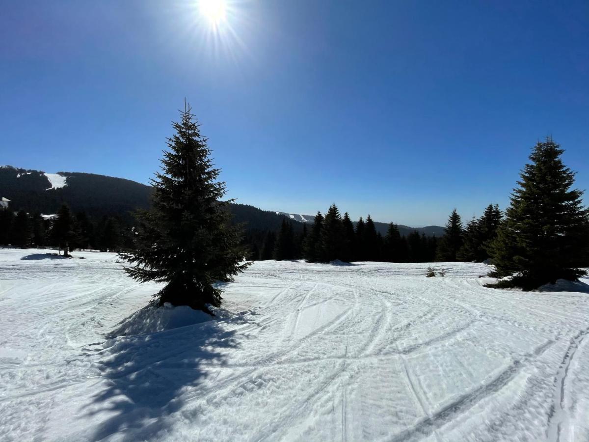Kopaonik -Beautiful View Apartment- Skiing Экстерьер фото